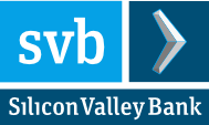 SVB Financial Group Logo Image