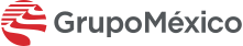 Grupo Mexico Logo Image