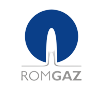 SNGN Romgaz SA  Logo Image