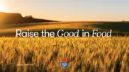 Maple Leaf Foods Inc.
