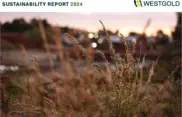 Westgold Resources Limited