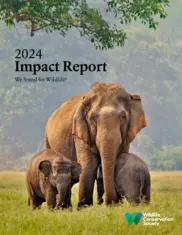 Wildlife Conservation Society