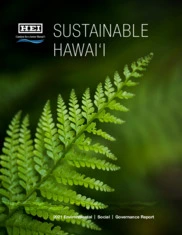 Hawaiian Electric Industries Inc.