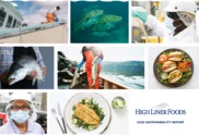 High Liner Foods Incorporated