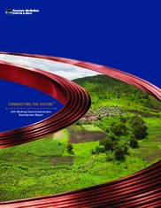 Freeport-McMoRan Copper & Gold Inc.
