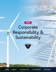 Minerals Technologies Inc.