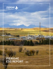 Pieridae Energy Limited