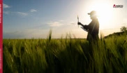 AGCO Corporation