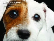 American Humane