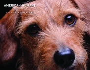 American Humane