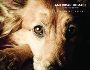 American Humane