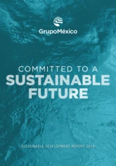 Grupo Mexico