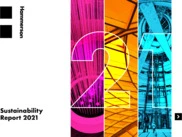 Hammerson plc