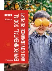 JD.com, Inc.