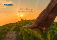 Kerry Group