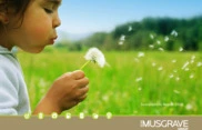Musgrave Group
