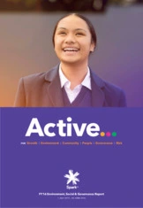 Spark NZ