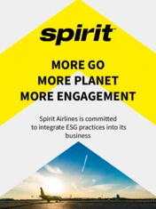 Spirit Airlines, Inc.
