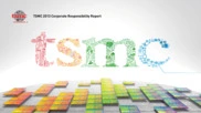 Taiwan Semiconductor Manufacturing Co. Ltd.