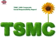 Taiwan Semiconductor Manufacturing Co. Ltd.