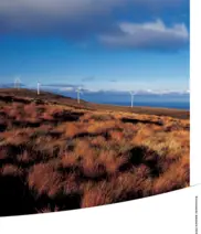 Vestas