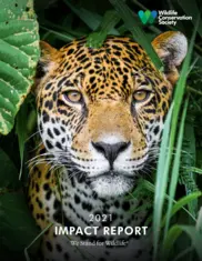 Wildlife Conservation Society