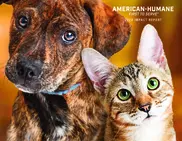 American Humane