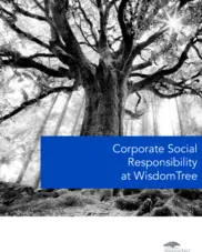 Wisdomtree Investment