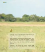 Parex Resources