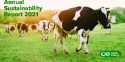 Clean Energy Fuels Corp.