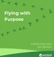 Goosehead Insurance, Inc.