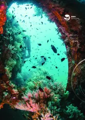 MMA Offshore Ltd