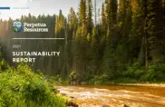Perpetua Resources