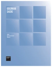 Goldman Sachs Group Inc.