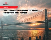 Equinix Inc.