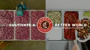 Chipotle Mexican Grill Inc.