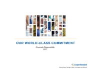 Cooper-Standard Holdings Inc
