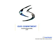 Cooper-Standard Holdings Inc