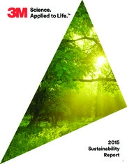 3M Corporation