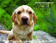 American Humane