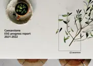Caesarstone Ltd.