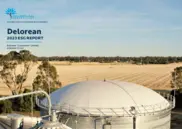 Delorean Corporation Limited