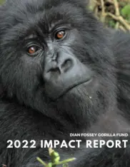 Dian Fossey Gorilla Fund International