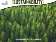 Energizer Holdings Inc.