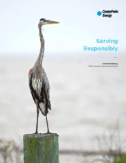 CenterPoint Energy Inc.