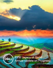 Dell Technologies Inc.