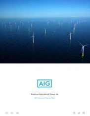 American International Group, Inc.