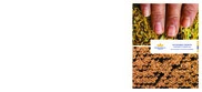 British American Tobacco plc