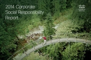 Cisco Systems Inc.