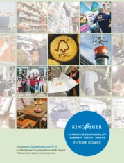 KingFisher plc